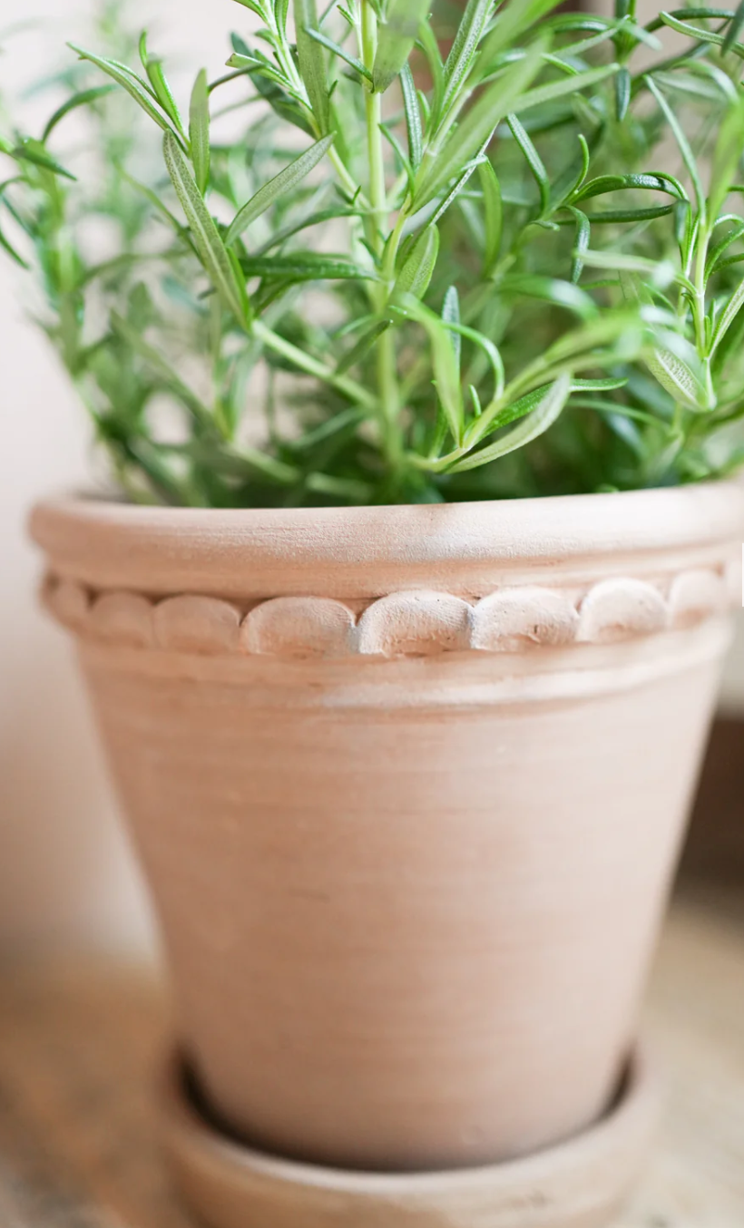 STRAIGHT Tuscan Plant Pot