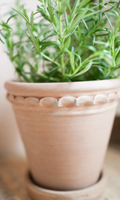 Load image into Gallery viewer, ROUND Tuscan Plant Pot
