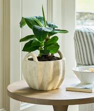 Load image into Gallery viewer, Horcott Pot with Handles Small 21cm Stone