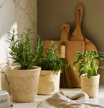 Load image into Gallery viewer, Dursley Textured Pot 17cm Stone