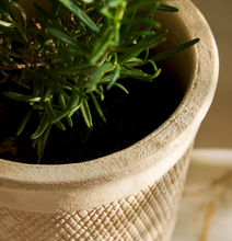 Load image into Gallery viewer, Dursley Textured Pot 17cm Stone