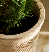 Load image into Gallery viewer, Dursley Textured Pot 10.5cm Stone
