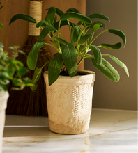 Load image into Gallery viewer, Dursley Textured Pot 10.5cm Stone