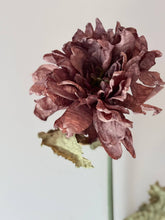 Load image into Gallery viewer, Vintage Dahlia - Mocha Fudge