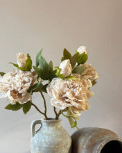 Load image into Gallery viewer, Full Bloom Double Peony - Nude