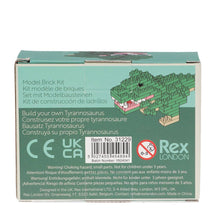 Load image into Gallery viewer, Build your own dinosaur model brick kit - Tyrannosaurus rex