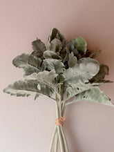 Load image into Gallery viewer, Cineraria Silver Leaf Bunch