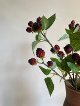 Load image into Gallery viewer, Blackberry Spray