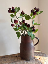 Load image into Gallery viewer, Blackberry Spray