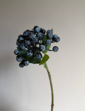 Load image into Gallery viewer, Blue Berry Ball Stem