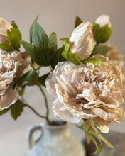 Load image into Gallery viewer, Full Bloom Double Peony - Nude