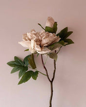 Load image into Gallery viewer, Full Bloom Double Peony - Nude