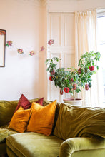 Load image into Gallery viewer, UK/EU: Avocado Honeycomb Ornament
