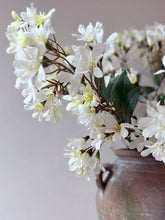 Load image into Gallery viewer, Summer Time Blossom - White