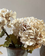 Load image into Gallery viewer, Vintage Hydrangea - Nude