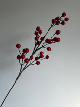 Load image into Gallery viewer, Red Berry Stem