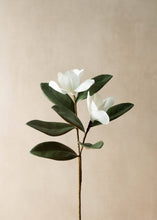 Load image into Gallery viewer, Faux Magnolia Stem