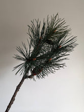 Load image into Gallery viewer, Luxury Pinus Branch