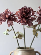 Load image into Gallery viewer, Vintage Dahlia - Mocha Fudge