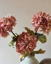 Load image into Gallery viewer, Vintage Hydrangea - Dusky Pink