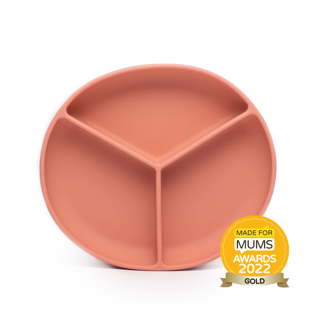 NEW SUCTION PLATE