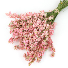 Load image into Gallery viewer, DRIED PINK DELPHINIUMS