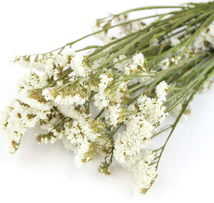 DRIED WHITE STATICE BUNCH