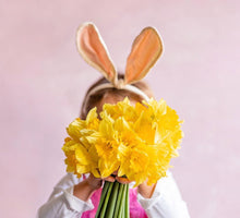 Load image into Gallery viewer, BUNNY EARS